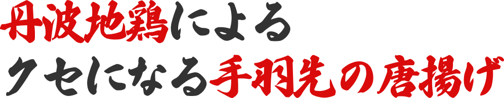 丹波地鶏によるクセになる手羽先のから揚げ